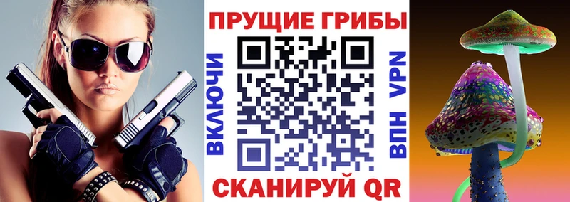 продажа наркотиков Сольвычегодск omg вход Галлюциногенные грибы GOLDEN TEACHER